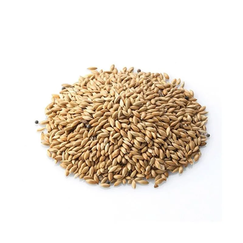comida alpiste para aves