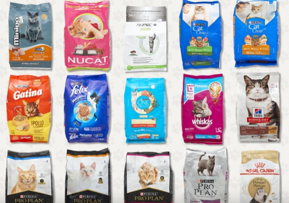 bolsa comida de gatos